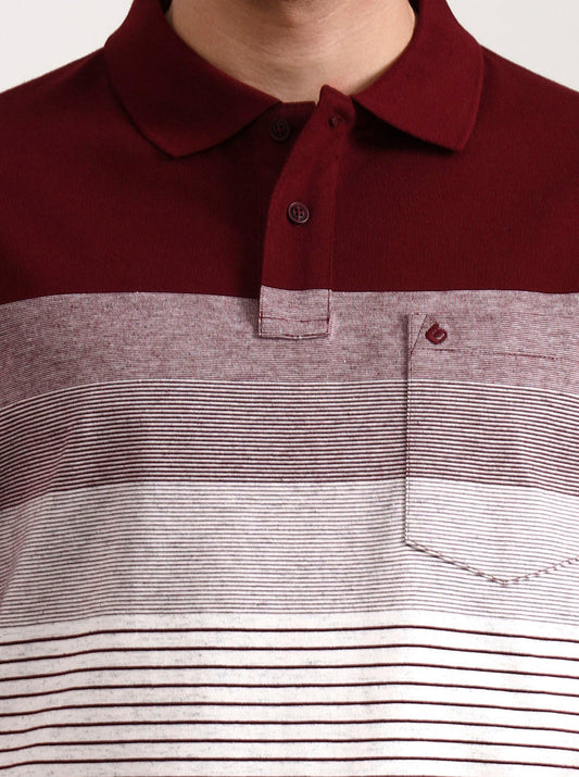 Wine & White Striped Slim Fit Polo T-Shirt | Greenfibre