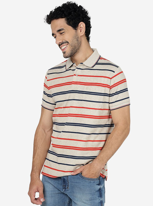 Multicolor Striped Slim Fit Polo T-Shirt | Greenfibre