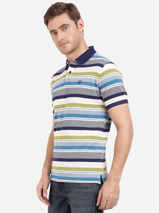 Multicolor Striped Slim Fit Polo T-Shirt | Greenfibre