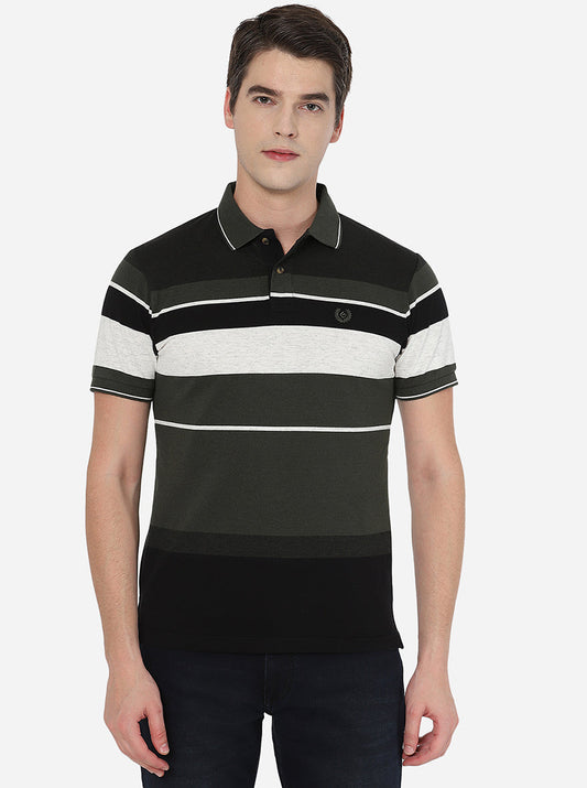 Multicolor Striped Slim Fit Polo T-Shirt | Greenfibre