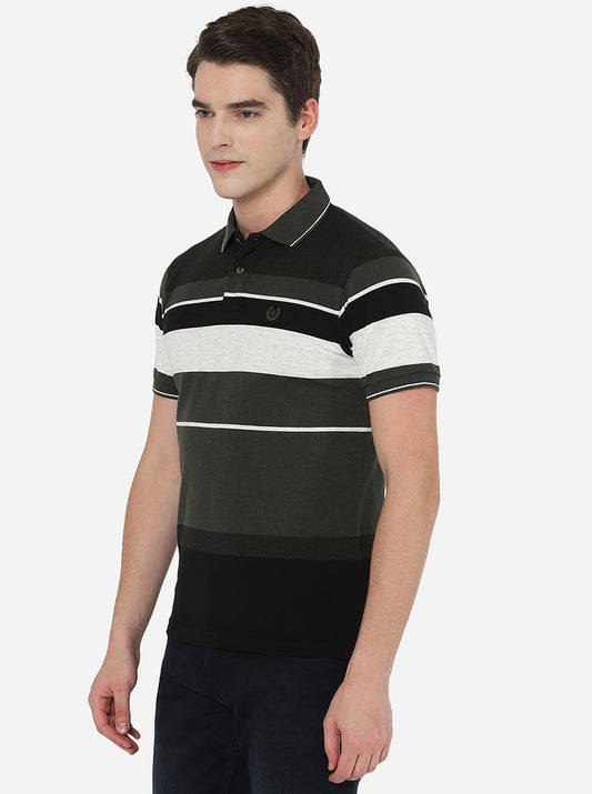 Multicolor Striped Slim Fit Polo T-Shirt | Greenfibre