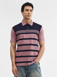 Mauve & navy Striped Slim Fit Polo T-Shirt | Greenfibre