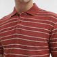 Rust & White Striped Slim Fit Polo T-Shirt | Greenfibre