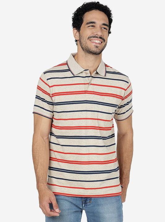 Multicolor Striped Slim Fit Polo T-Shirt | Greenfibre