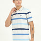 Grey & Blue Striped Slim Fit Polo T-Shirt | Greenfibre
