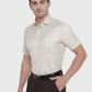 Beige Checked Slim Fit Formal Shirt | Greenfibre